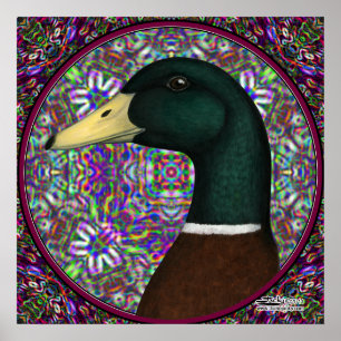 Póster Mallard Drake Mosaic Circle