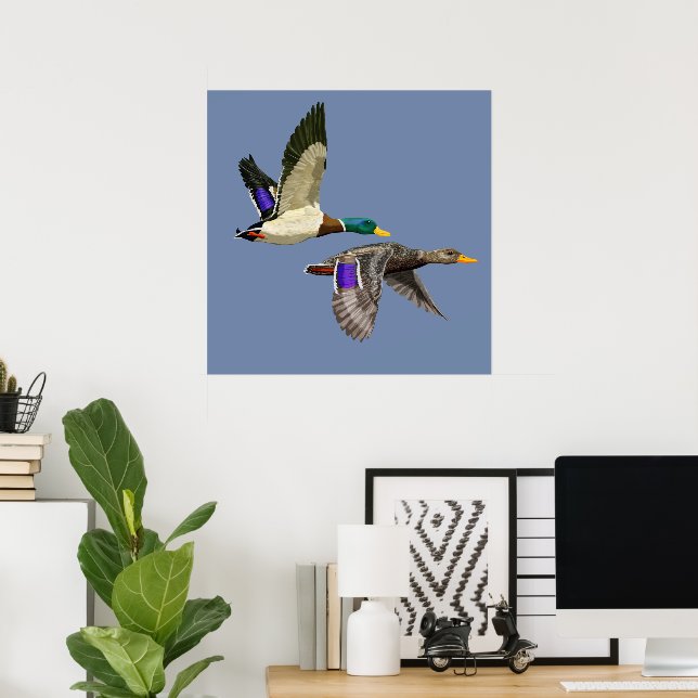 Póster Mallard Duck Lovers (Oficina en casa)