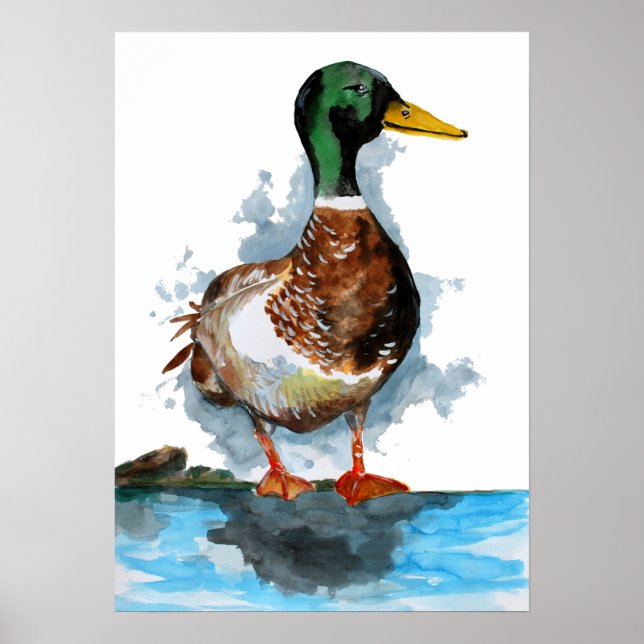 Póster Mallard Duck Watercolor (Frente)