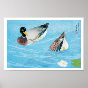 Póster Mallard en el estanque, Goyō Hashiguchi