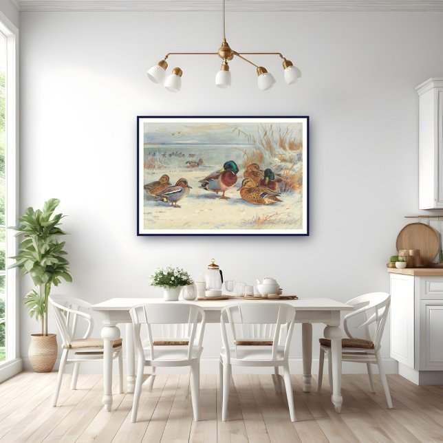 Póster Mallard y verde azulado en la nieve, Aves (Subido por el creador)