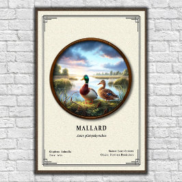 Póster Mallard Zoology Series Poster