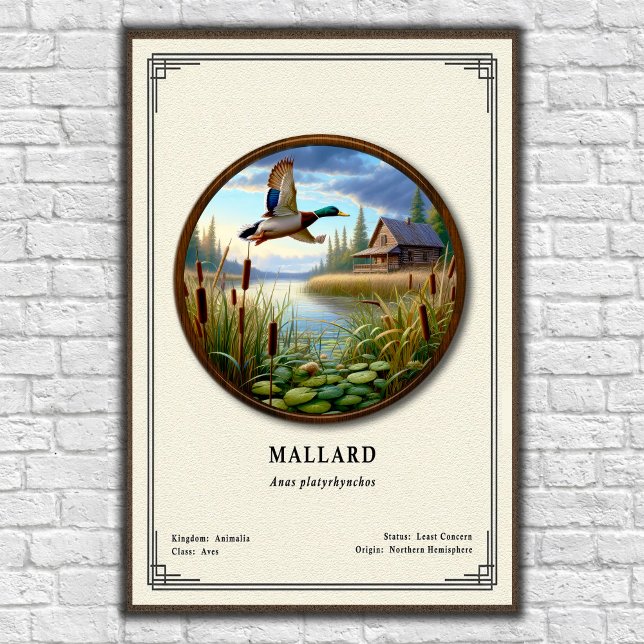 Póster Mallard Zoology Series Poster (Subido por el creador)