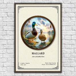 Póster Mallard Zoology Series Poster