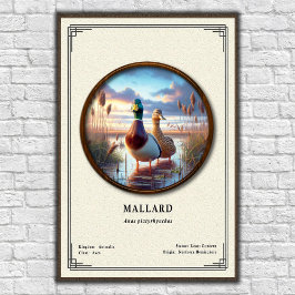 Póster Mallard Zoology Series Poster