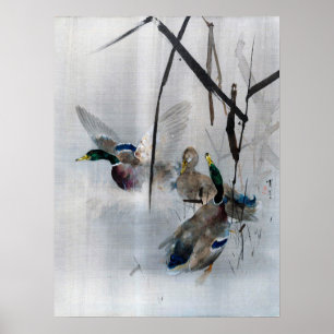 Póster Mallards and Reeds, Watanabe Seitei