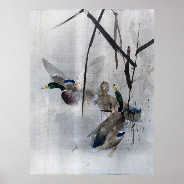 Póster Mallards and Reeds, Watanabe Seitei (Frente)