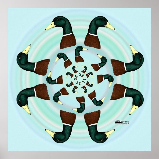 Póster Mallards Galore! (Frente)