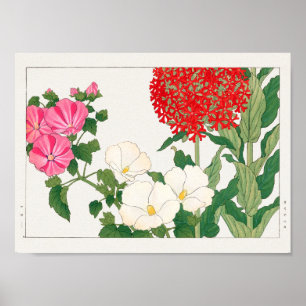 Póster Mallow, centranthus por Tanigami Konan