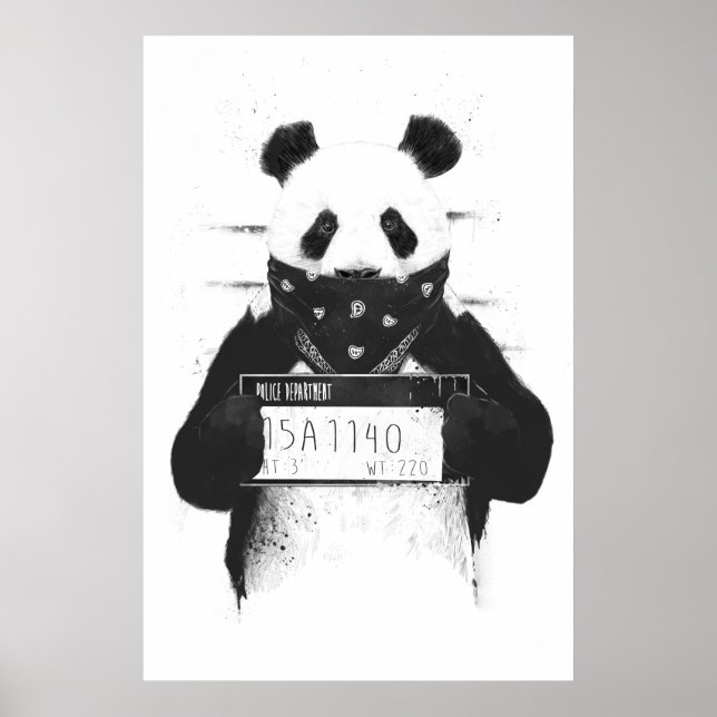 Póster Malo panda (Frente)