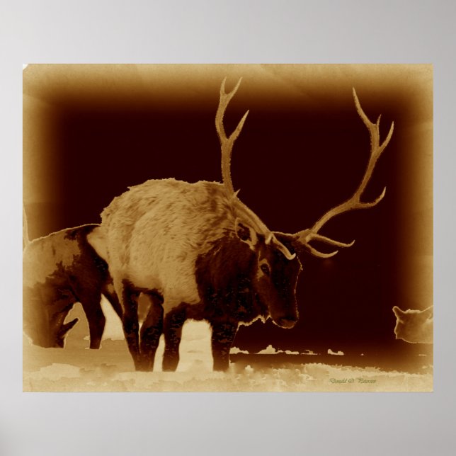 Póster malo para el hueso (Frente)