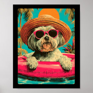 Póster Maltés de verano con gafas de sol Perro lindo Pisc
