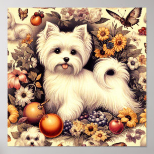 Póster Maltés maltés vintage