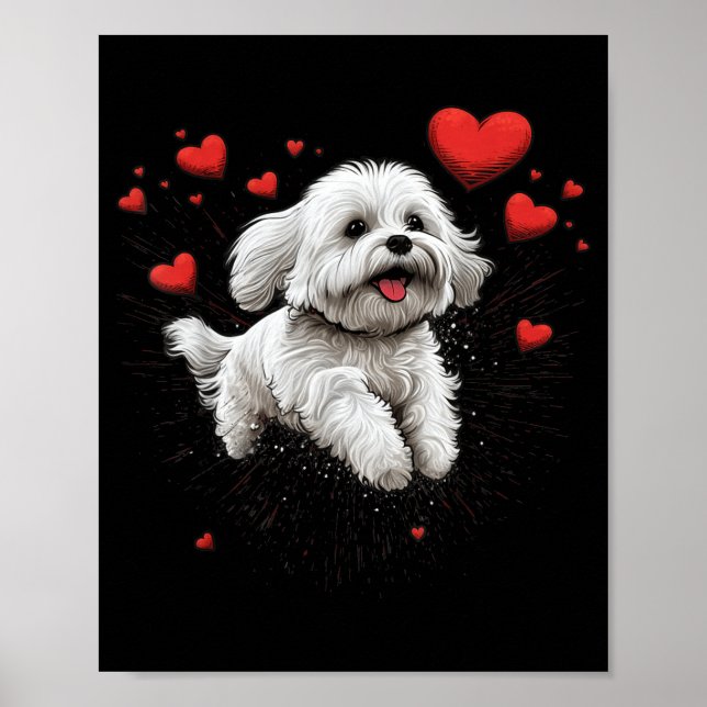 Póster Maltese Dog Love Heart For Valentines Day Maltese  (Frente)
