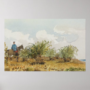 Póster malvinas