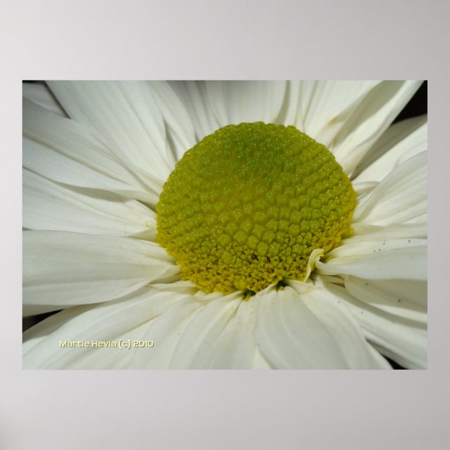 Póster Mamá blanca (Frente)