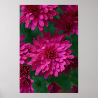 Póster ¡Mamá caliente!