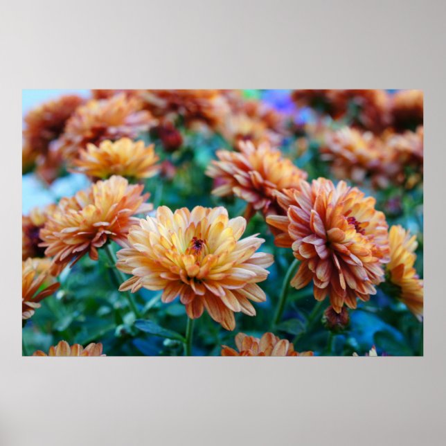 Póster ¡mamá el Palabra! (Frente)