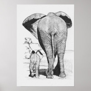 Póster Mamá elefante y bebé