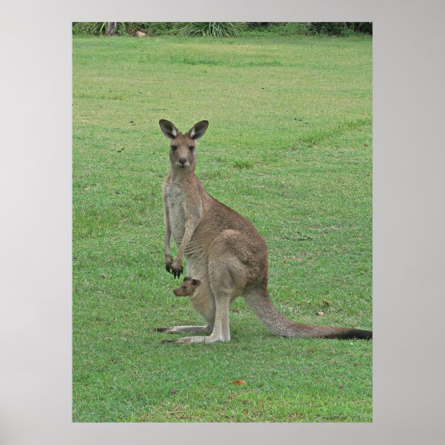 Póster Mama Roo y Joey (Frente)