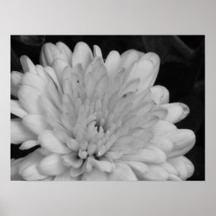 Póster Mamáes amarillas