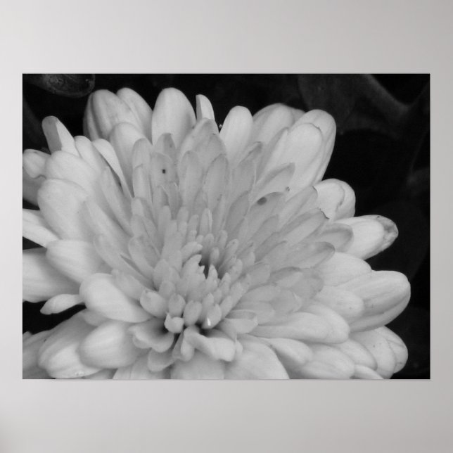 Póster Mamáes amarillas (Frente)