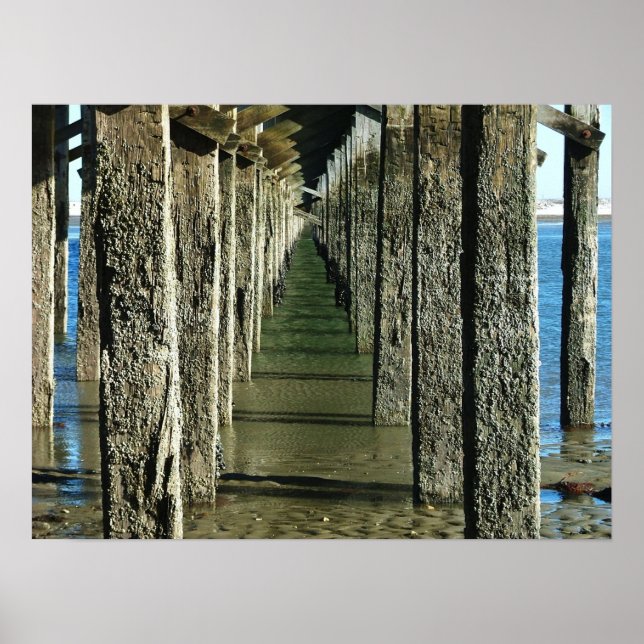 Póster mamáes de duxbury puente de polvorín. (Frente)