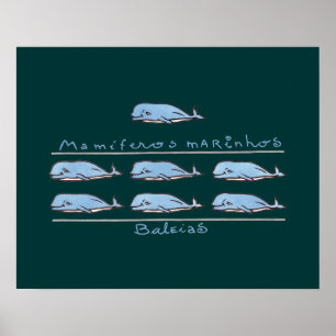 Póster mamíferos marinhos-baleias