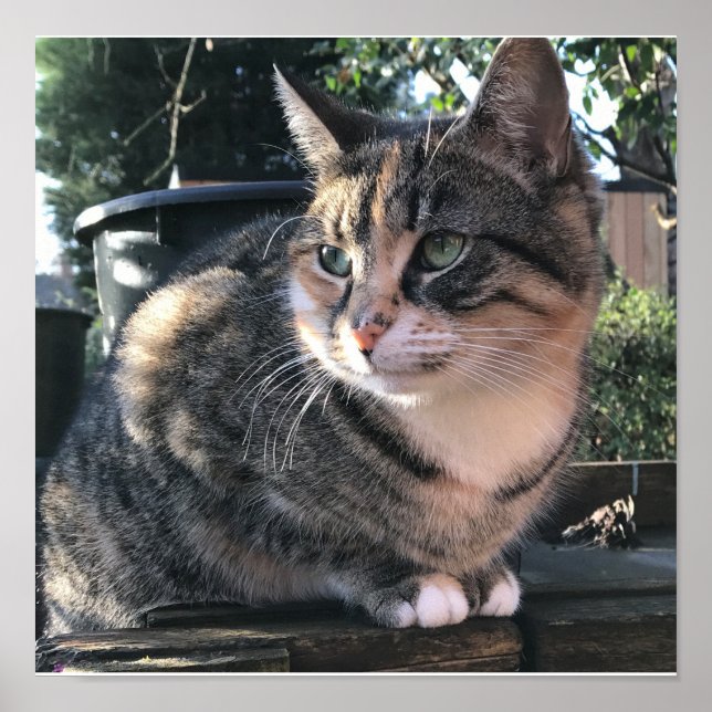 Póster Mamma de Ruby, Sra. Ribby (Frente)