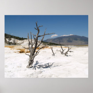 Póster Mammoth Hot Springs Main Terrace
