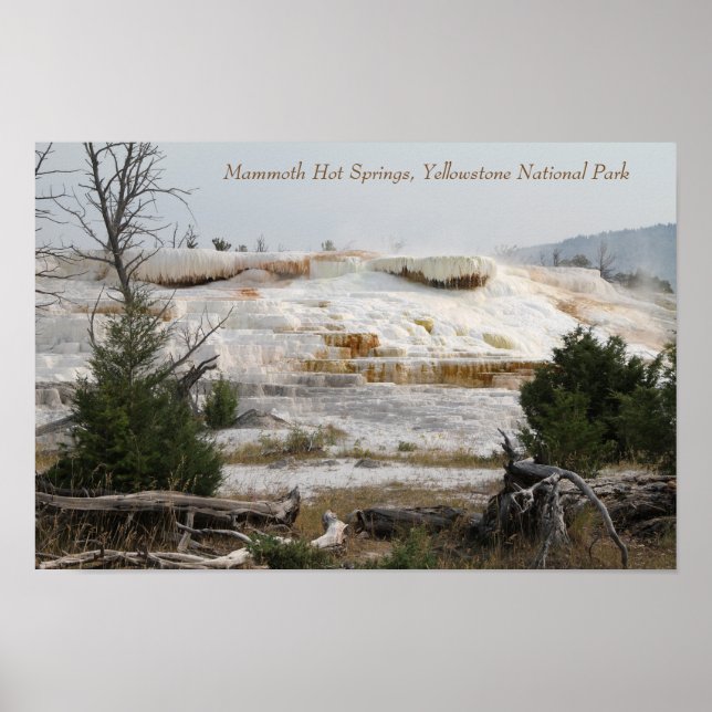 Póster Mammoth Hot Springs, Parque Nacional Yellowstone (Frente)