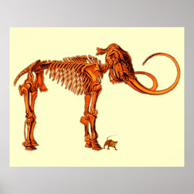 Póster Mammoth Skeleton and Mouse (Frente)