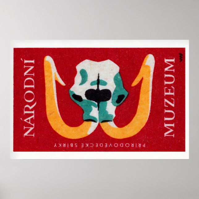 Póster Mammoth Skull - Matchbox Print - Czech Wall Art (Frente)