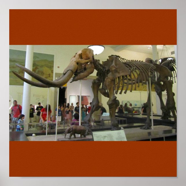 Póster ¡Mamut! (Frente)