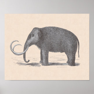 Póster Mamut Lana Extinct Mastodon Funny Vintage