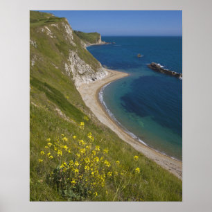 Póster Man of War Bay, Jurassic Coast, Lulworth, Dorset,