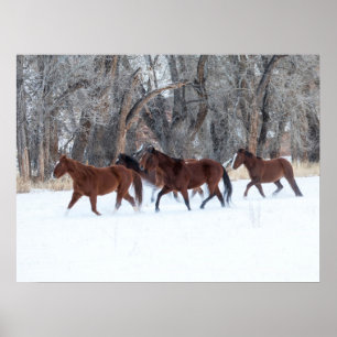 Póster Manada de caballos corriendo en la nieve de invier
