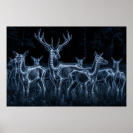 Póster Manada de Ciervos Noche X-Ray