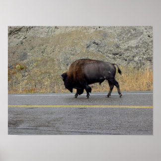 Póster Mañana al día siguiente