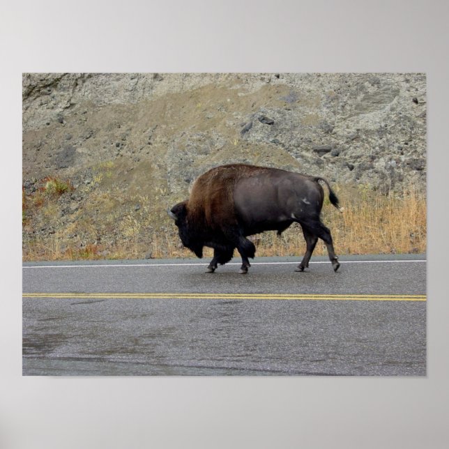 Póster Mañana al día siguiente (Frente)