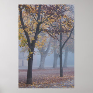 Póster Mañana brumosa en el parque de la catedral