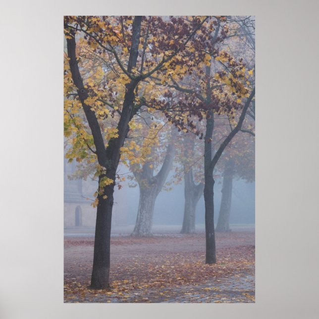 Póster Mañana brumosa en el parque de la catedral (Frente)