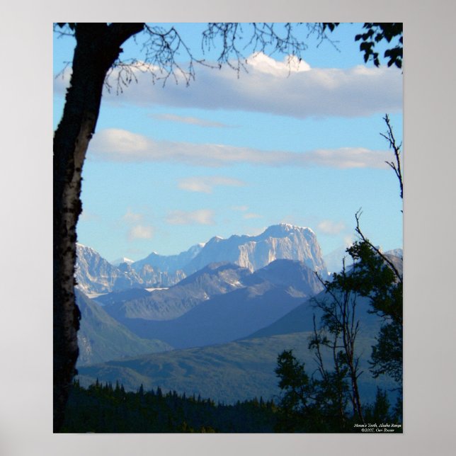 Póster Mañana con el diente de Moose (Frente)