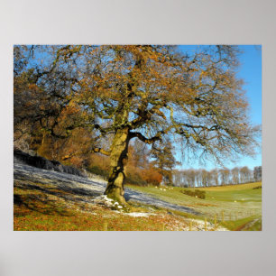 Póster Mañana de invierno