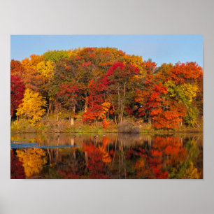 Póster mañana de otoño en el parque marthaler y en el est