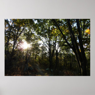 Póster Mañana de otoño en el Parque Nacional de Shenandoa
