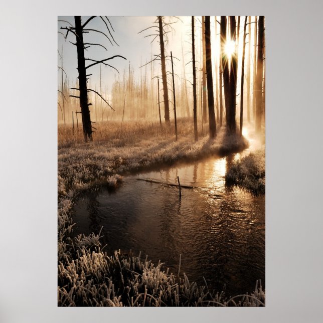Póster Mañana de Yellowstone helado (Frente)