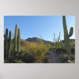 Póster Mañana en King Canyon Trail