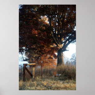 Póster Mañana en Tennessee