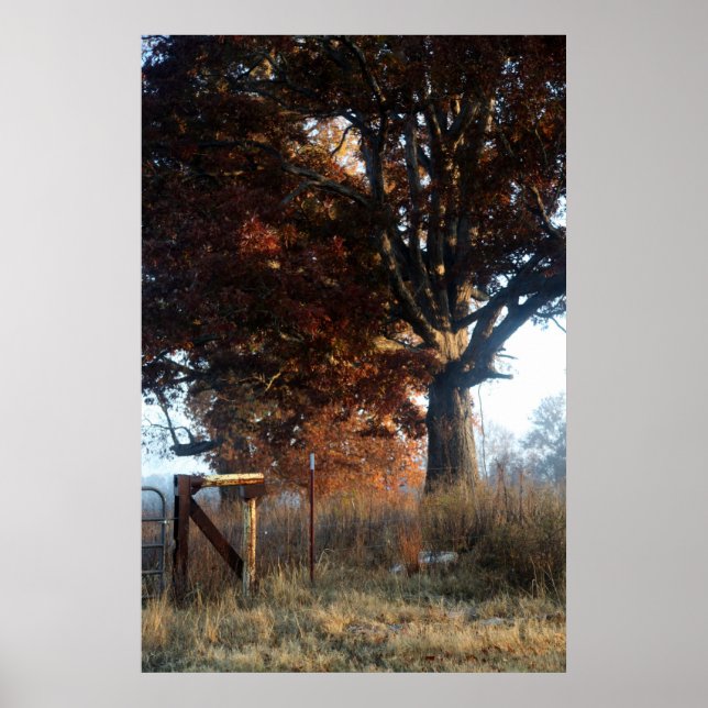 Póster Mañana en Tennessee (Frente)